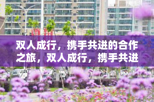 双人成行,携手共进的合作之旅,双人成行,携手共进的合作之旅 双人成行,携手共进的合作之旅,双人成行,携手共进的合作之旅
