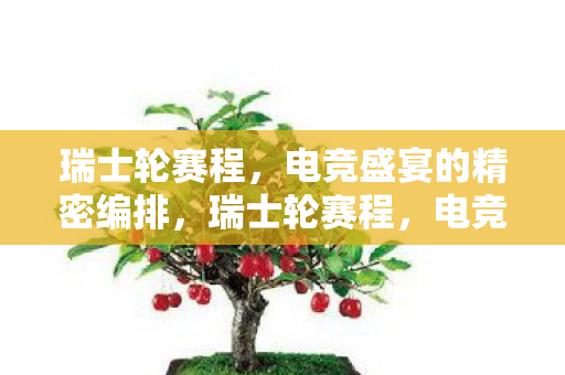 瑞士轮赛程，电竞盛宴的精密编排，瑞士轮赛程，电竞盛宴的精密编排