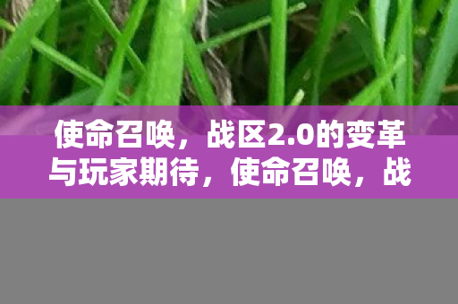 使命召唤，战区2.0的变革与玩家期待，使命召唤，战区2.0变革与玩家期待