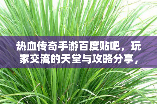 热血传奇手游百度贴吧,玩家交流的天堂与攻略分享,热血传奇手游百度贴吧,玩家交流攻略与分享的天堂 热血传奇手游百度贴吧,玩家交流的天堂与攻略分享,热血传奇手游百度贴吧,玩家交流攻略与分享的天堂