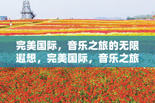 完美国际，音乐之旅的无限遐想，完美国际，音乐之旅的无限遐想