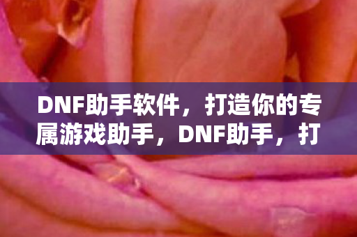 DNF助手软件,打造你的专属游戏助手,DNF助手,打造你的专属游戏助手 DNF助手软件,打造你的专属游戏助手,DNF助手,打造你的专属游戏助手