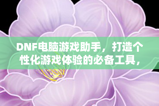 DNF电脑游戏助手,打造个性化游戏体验的必备工具,DNF电脑游戏助手,打造个性化游戏体验的必备工具 DNF电脑游戏助手,打造个性化游戏体验的必备工具,DNF电脑游戏助手,打造个性化游戏体验的必备工具