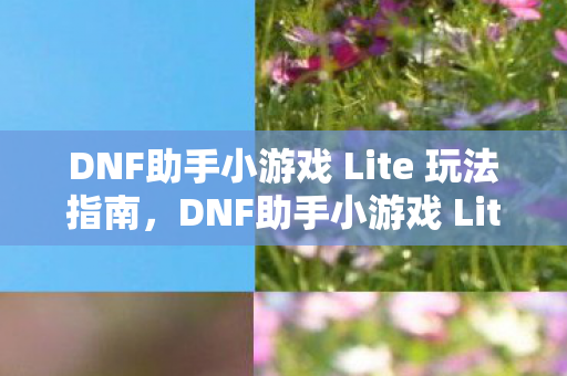 DNF助手小游戏 Lite 玩法指南,DNF助手小游戏 Lite 玩法全解析 DNF助手小游戏 Lite 玩法指南,DNF助手小游戏 Lite 玩法全解析