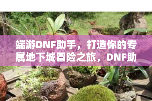 端游DNF助手,打造你的专属地下城冒险之旅,DNF助手,打造你的专属地下城冒险之旅 端游DNF助手,打造你的专属地下城冒险之旅,DNF助手,打造你的专属地下城冒险之旅