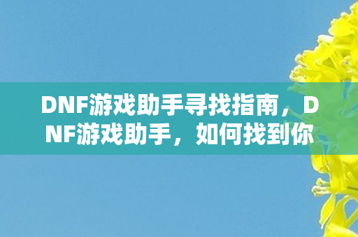 DNF游戏助手寻找指南,DNF游戏助手,如何找到你的游戏伙伴? DNF游戏助手寻找指南,DNF游戏助手,如何找到你的游戏伙伴?