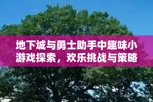 地下城与勇士助手中趣味小游戏探索,欢乐挑战与策略对决,地下城与勇士助手中趣味小游戏,欢乐挑战与策略对决 地下城与勇士助手中趣味小游戏探索,欢乐挑战与策略对决,地下城与勇士助手中趣味小游戏,欢乐挑战与策略对决