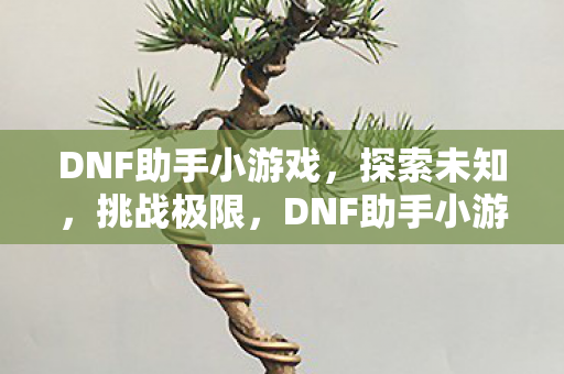 DNF助手小游戏,探索未知,挑战极限,DNF助手小游戏,探索未知,挑战极限 DNF助手小游戏,探索未知,挑战极限,DNF助手小游戏,探索未知,挑战极限