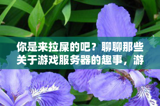 你是来拉屎的吧？聊聊那些关于游戏服务器的趣事，游戏服务器趣事，玩家调侃你是来拉屎的吧？