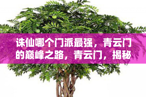诛仙哪个门派最强,青云门的巅峰之路,青云门,揭秘诛仙中最强门派的巅峰之路 诛仙哪个门派最强,青云门的巅峰之路,青云门,揭秘诛仙中最强门派的巅峰之路
