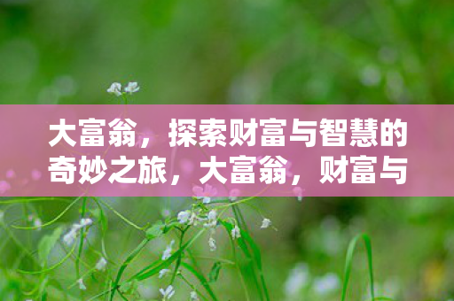 大富翁,探索财富与智慧的奇妙之旅,大富翁,财富与智慧的奇妙探索之旅 大富翁,探索财富与智慧的奇妙之旅,大富翁,财富与智慧的奇妙探索之旅
