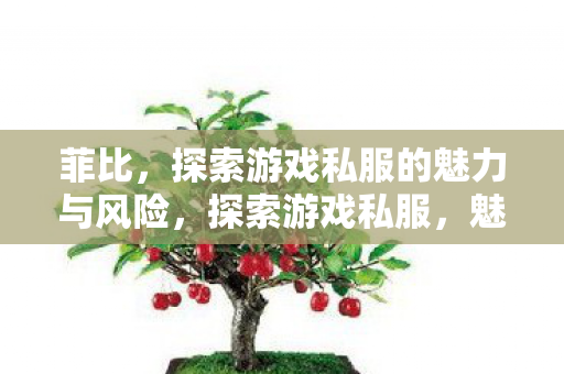 菲比，探索游戏私服的魅力与风险，探索游戏私服，魅力与风险并存