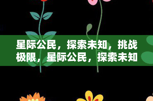 星际公民,探索未知,挑战极限,星际公民,探索未知,挑战极限 星际公民,探索未知,挑战极限,星际公民,探索未知,挑战极限