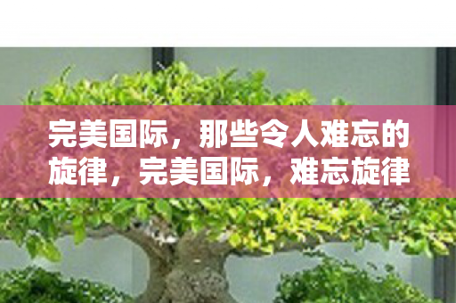 那些令人难忘的旋律图片