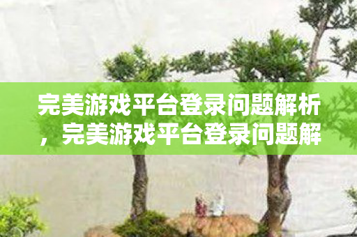 完美游戏平台登录问题解析图片