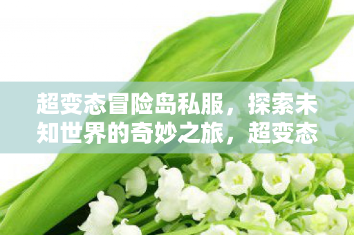 超变态冒险岛私服,探索未知世界的奇妙之旅,超变态冒险岛私服,探索未知世界的奇妙之旅 超变态冒险岛私服,探索未知世界的奇妙之旅,超变态冒险岛私服,探索未知世界的奇妙之旅