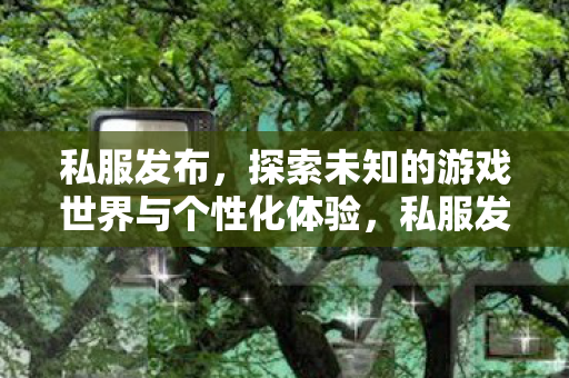 私服发布,探索未知的游戏世界与个性化体验,私服发布,探索个性化游戏世界,尽享独特体验 私服发布,探索未知的游戏世界与个性化体验,私服发布,探索个性化游戏世界,尽享独特体验