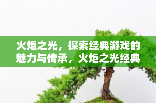 火炬之光,探索经典游戏的魅力与传承,火炬之光经典游戏魅力与传承探索 火炬之光,探索经典游戏的魅力与传承,火炬之光经典游戏魅力与传承探索