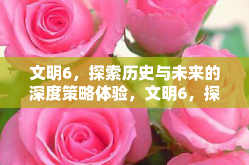 文明6,探索历史与未来的深度策略体验,文明6,探索历史与未来的深度策略之旅 文明6,探索历史与未来的深度策略体验,文明6,探索历史与未来的深度策略之旅