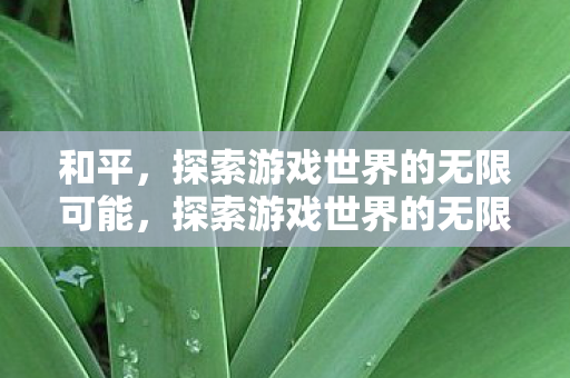 和平,探索游戏世界的无限可能,探索游戏世界的无限可能,和平的力量 和平,探索游戏世界的无限可能,探索游戏世界的无限可能,和平的力量