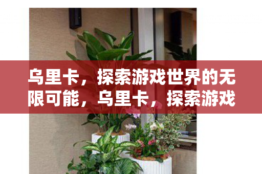 乌里卡,探索游戏世界的无限可能,乌里卡,探索游戏世界的无限可能 乌里卡,探索游戏世界的无限可能,乌里卡,探索游戏世界的无限可能