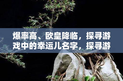 爆率高、欧皇降临,探寻游戏中的幸运儿名字,探寻游戏中的幸运儿名字,爆率高、欧皇降临 爆率高、欧皇降临,探寻游戏中的幸运儿名字,探寻游戏中的幸运儿名字,爆率高、欧皇降临
