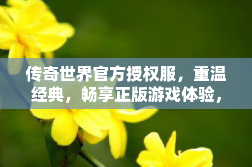 传奇世界官方授权服,重温经典,畅享正版游戏体验,传奇世界官方授权服,重温经典,畅享正版游戏体验 传奇世界官方授权服,重温经典,畅享正版游戏体验,传奇世界官方授权服,重温经典,畅享正版游戏体验