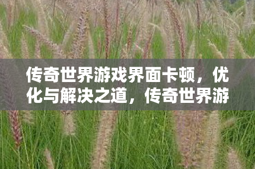 传奇世界游戏界面卡顿,优化与解决之道,传奇世界游戏卡顿问题,优化与解决之道 传奇世界游戏界面卡顿,优化与解决之道,传奇世界游戏卡顿问题,优化与解决之道