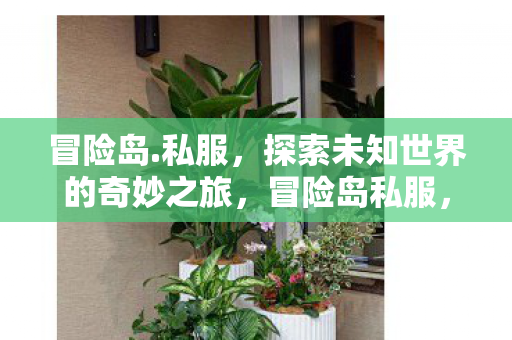 探索未知世界的奇妙之旅图片