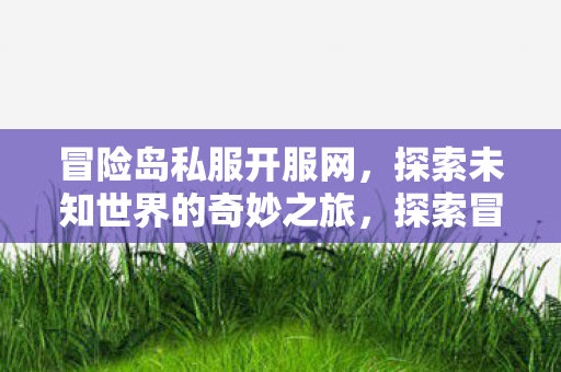 冒险岛私服开服网，探索未知世界的奇妙之旅，探索冒险岛私服，开启奇妙之旅！