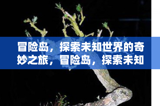 探索未知世界的奇妙之旅图片