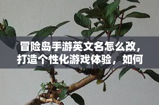 冒险岛手游英文名怎么改,打造个性化游戏体验,如何更改冒险岛手游英文名,打造个性化游戏体验? 冒险岛手游英文名怎么改,打造个性化游戏体验,如何更改冒险岛手游英文名,打造个性化游戏体验?