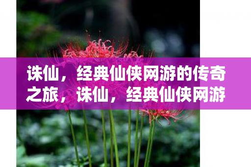 诛仙,经典仙侠网游的传奇之旅,诛仙,经典仙侠网游的传奇之旅 诛仙,经典仙侠网游的传奇之旅,诛仙,经典仙侠网游的传奇之旅