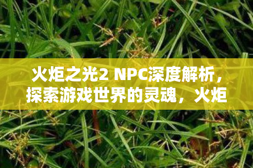 火炬之光2 NPC深度解析,探索游戏世界的灵魂,火炬之光2NPC深度解析,探索游戏世界的灵魂与情感 火炬之光2 NPC深度解析,探索游戏世界的灵魂,火炬之光2NPC深度解析,探索游戏世界的灵魂与情感