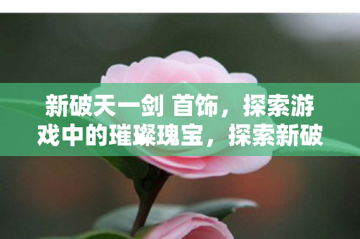 探索新破天一剑中的璀璨瑰宝图片