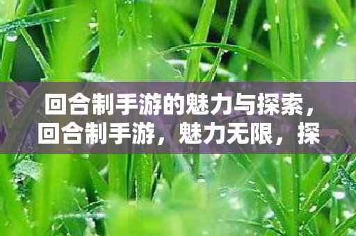 回合制手游的魅力与探索,回合制手游,魅力无限,探索不止 回合制手游的魅力与探索,回合制手游,魅力无限,探索不止