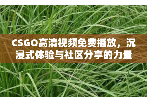 CSGO高清视频免费播放,沉浸式体验与社区分享的力量,CSGO高清视频,沉浸式体验与社区分享的力量 CSGO高清视频免费播放,沉浸式体验与社区分享的力量,CSGO高清视频,沉浸式体验与社区分享的力量