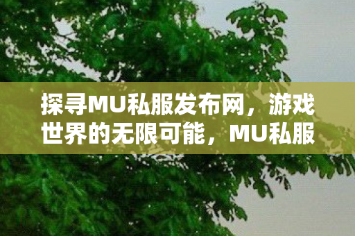 探寻MU私服发布网，游戏世界的无限可能，MU私服发布网，解锁游戏世界的无限可能