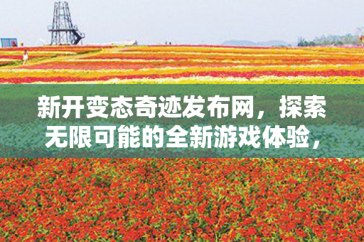 新开变态奇迹发布网等你来体验图片