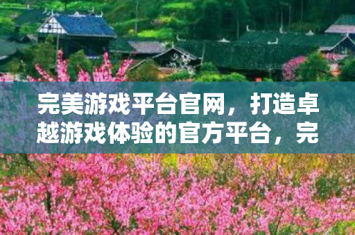 完美游戏平台官网，打造卓越游戏体验的官方平台，完美游戏平台官网，打造卓越游戏体验的官方平台