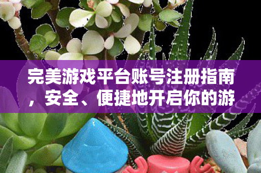 完美游戏平台账号注册全攻略图片