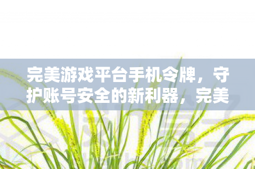 完美游戏平台手机令牌,守护账号安全的新利器,完美游戏平台手机令牌,守护账号安全的新利器 完美游戏平台手机令牌,守护账号安全的新利器,完美游戏平台手机令牌,守护账号安全的新利器