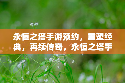 永恒之塔手游预约,重塑经典,再续传奇,永恒之塔手游预约开启,重塑经典再续传奇 永恒之塔手游预约,重塑经典,再续传奇,永恒之塔手游预约开启,重塑经典再续传奇
