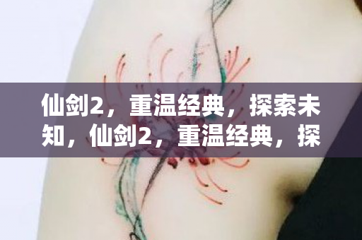 仙剑2，重温经典，探索未知，仙剑2，重温经典，探索未知之旅