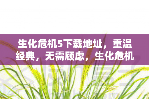 生化危机5下载地址,重温经典,无需顾虑,生化危机5经典重温,安全下载无顾虑 生化危机5下载地址,重温经典,无需顾虑,生化危机5经典重温,安全下载无顾虑