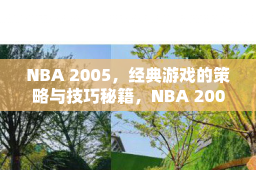 NBA 2005,经典游戏的策略与技巧秘籍,NBA 2005,策略与技巧秘籍全解析 NBA 2005,经典游戏的策略与技巧秘籍,NBA 2005,策略与技巧秘籍全解析