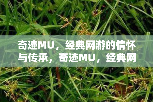 奇迹MU，经典网游的情怀与传承，奇迹MU，经典网游的情怀与传承