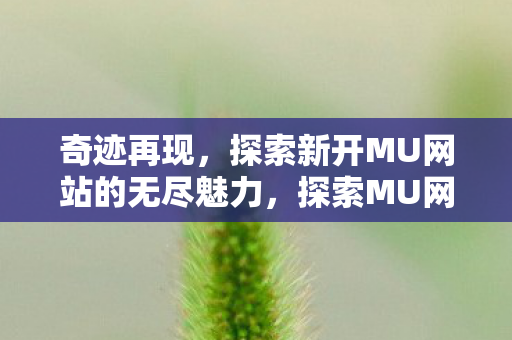 奇迹再现，探索新开MU网站的无尽魅力，探索MU网站，奇迹再现，无尽魅力等你来发现