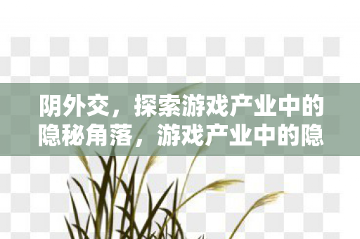 阴外交,探索游戏产业中的隐秘角落,游戏产业中的隐秘角落,阴外交的奥秘 阴外交,探索游戏产业中的隐秘角落,游戏产业中的隐秘角落,阴外交的奥秘