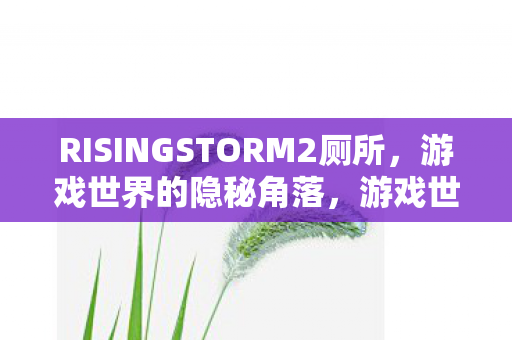 RISINGSTORM2厕所，游戏世界的隐秘角落，游戏世界隐秘角落，厕所里的RISINGSTORM2